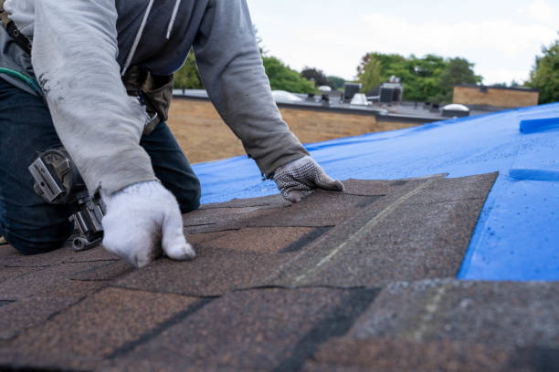 Best Slate Roofing Contractor  in Hampton, AR
