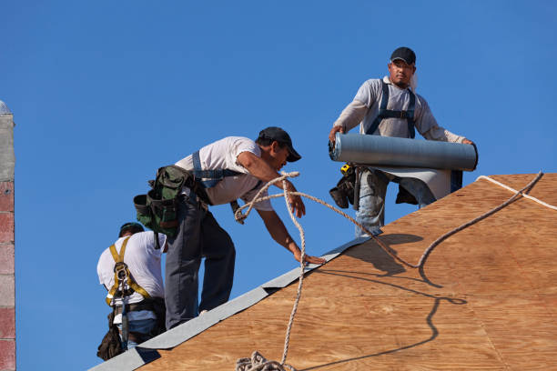 Best Roof Gutter Cleaning  in Hampton, AR